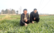 【新春走基层】绵竹：百姓过年期间不忘备耕播种