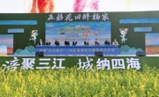 绵阳涪城“五朵金花”——杨家油菜花文旅季开启