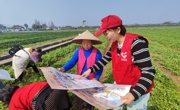 眉山：春耕电力足 永丰村来了“苏小帮”