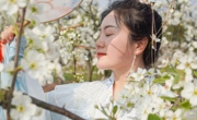 眉山仁寿：百年梨乡梨花开 赏春踏青正当时