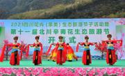 第十一届北川辛夷花生态旅游节在九皇山开幕