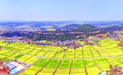 德阳：建好“天府粮仓” 守牢粮食生产“命根子”