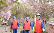 花开时节保电忙 满目春色樱花香