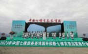 累计投资1.5亿元  中国七佛贡茶茶博园开园