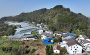 “甜蜜”的致富经  ——达州宣汉县峰城镇仁义村“变脸”记