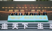 “绵阳造”重庆行活动正式启动