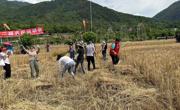 绵阳市平武县高村乡第二届农民运动会举行