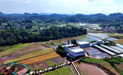 达州宣汉：蹚出盆周山区农业社会化服务新路径