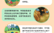 当遭遇泥石流灾害时，该如何避险逃生？