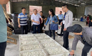达州首次开展省级桑蚕鲜茧收购质量监测工作