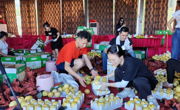 广元苍溪县与“梨”相约 这个地方的黄金梨丰收了