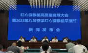 2023第九届苍溪红心猕猴桃采摘节新闻发布会举行