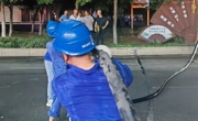 眉山：热浪中与时间“赛跑”  8小时抢修送“清凉”