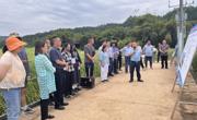 四川省川东北区油菜“推技术 提单产”现场观摩会在广元苍溪县召开