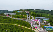 达州宣汉：浙川东西部协作3000亩玫瑰绽放幸福花