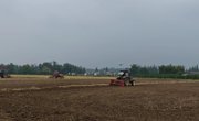 成都种业集团助力蒲江农民专业联合社在荒地上、旱地上“种”出高产良田