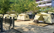 绵阳江油：“小民宿”撬动乡村大发展