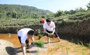 宣汉：让文明实践新风吹进田间地头