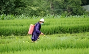 绵阳平武：筑牢粮食安全“压舱石” 守好群众“粮袋子”