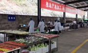 广元朝天区：社会化服务赋能农业生产