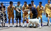 “猪羊鸡鱼”奖品拿回家 眉山东坡区首届“村BA”圆满落幕