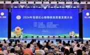 2024年苍溪红心猕猴桃高质量发展大会举行