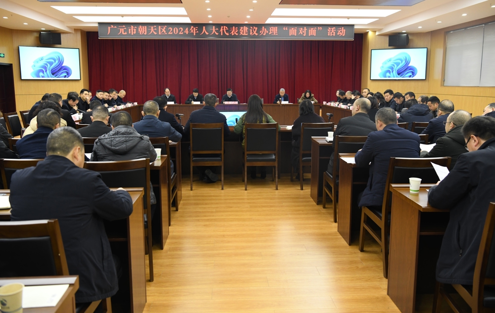 “面对面”专题询问会现场
