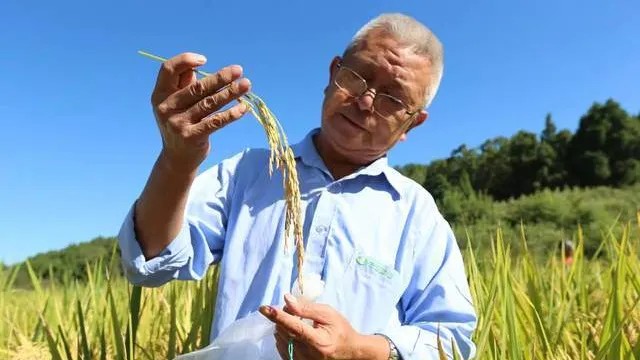 陈定全——昭化融媒供图