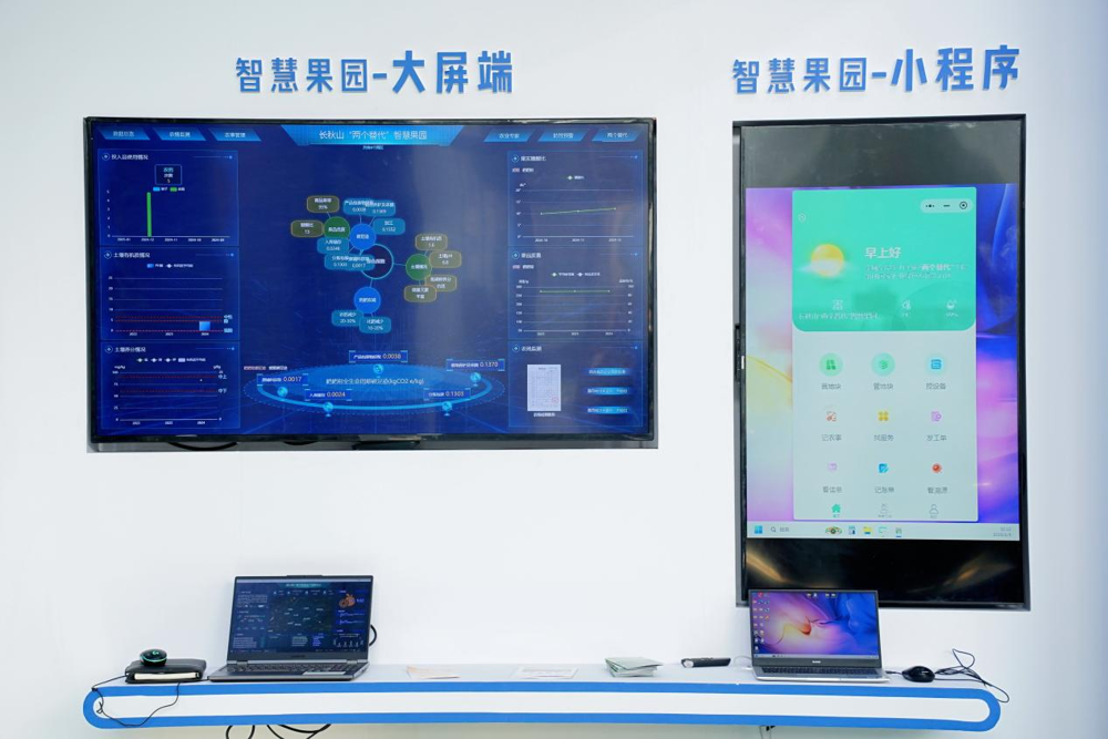 图片4