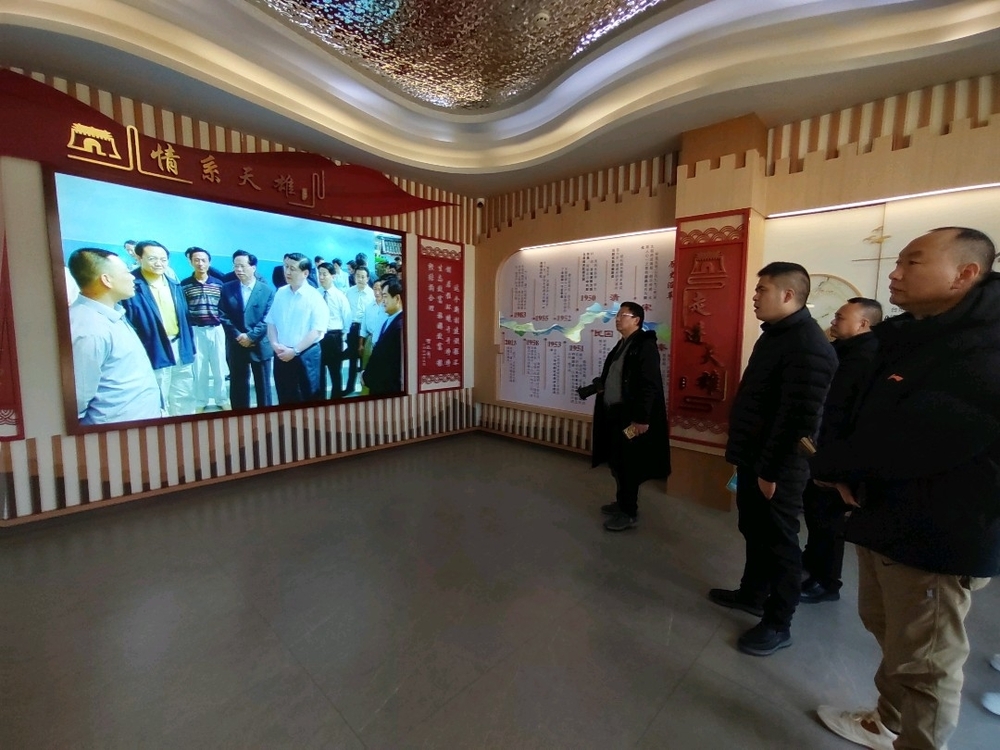 图片3