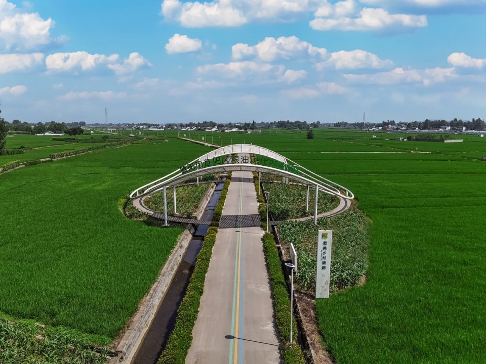 现代粮油产业园