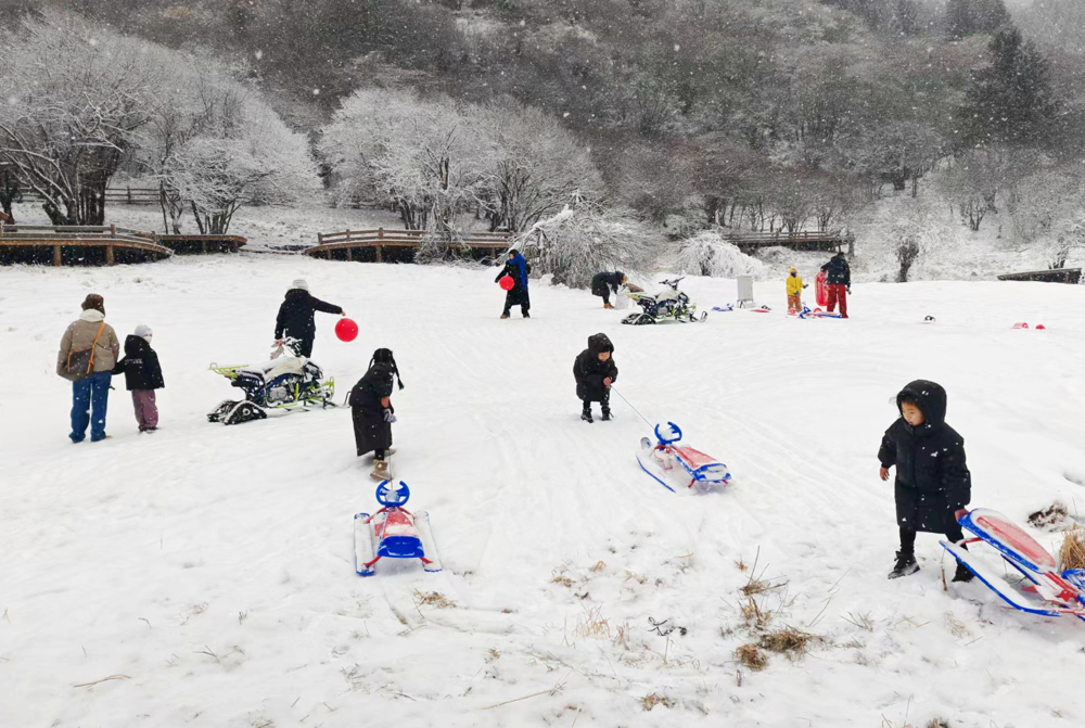 王朗大熊猫探秘营地嬉雪场