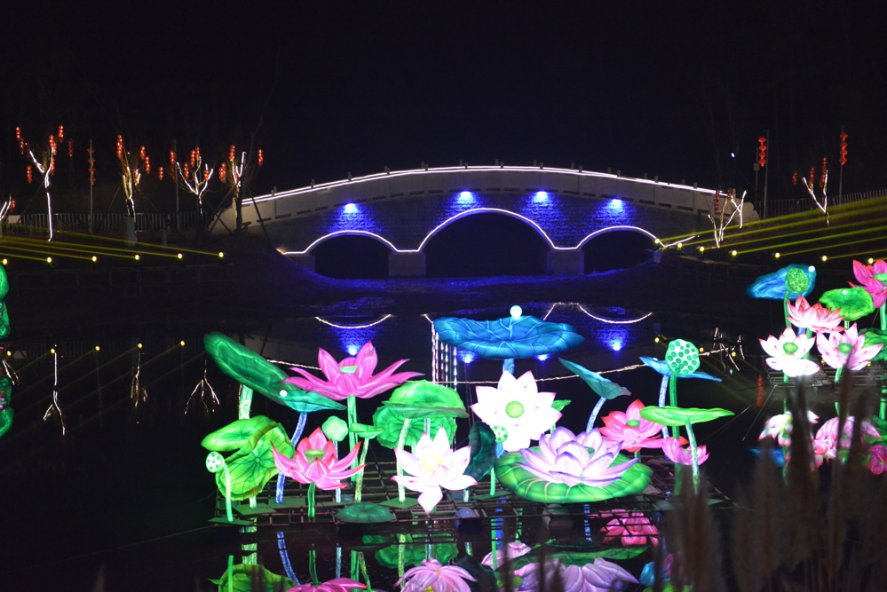 彩灯会现场