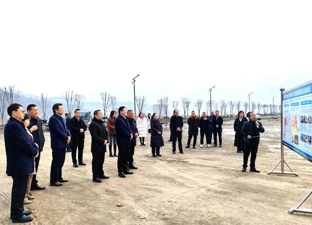 图片1
