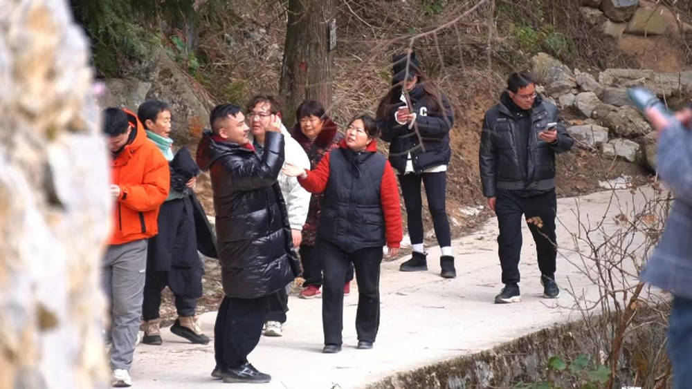 图片6