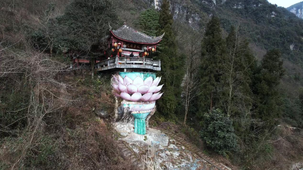 图片3