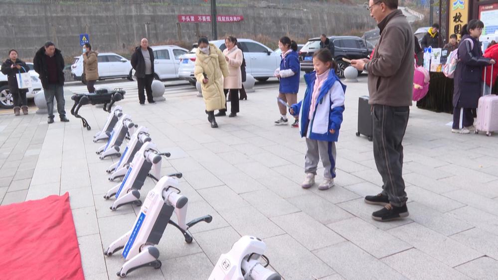 图片1
