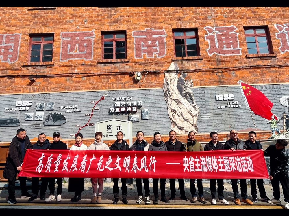 图片4