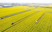 沃野逐春光——各地有序推进春耕备耕扫描