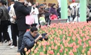 春季文商旅促消费暨花仙谷郁金香花展活动在达州宣汉启幕