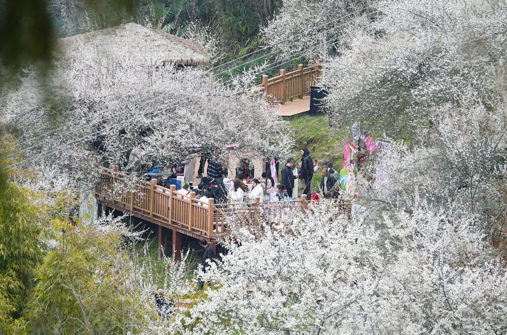 游客在梅林游玩