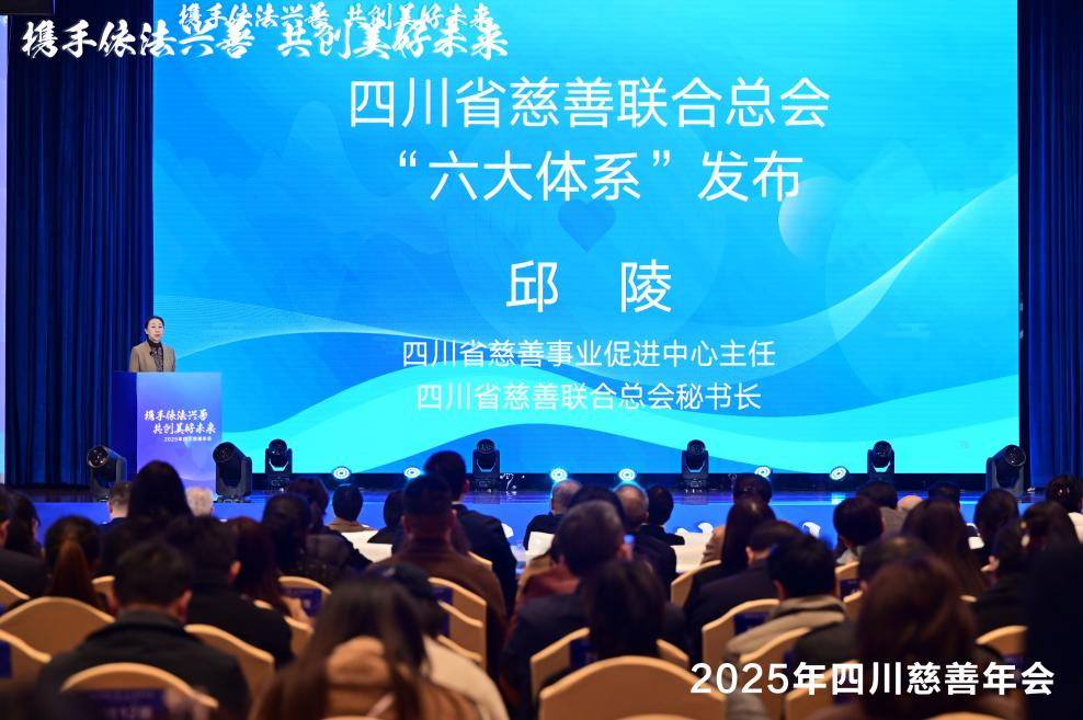 图片14