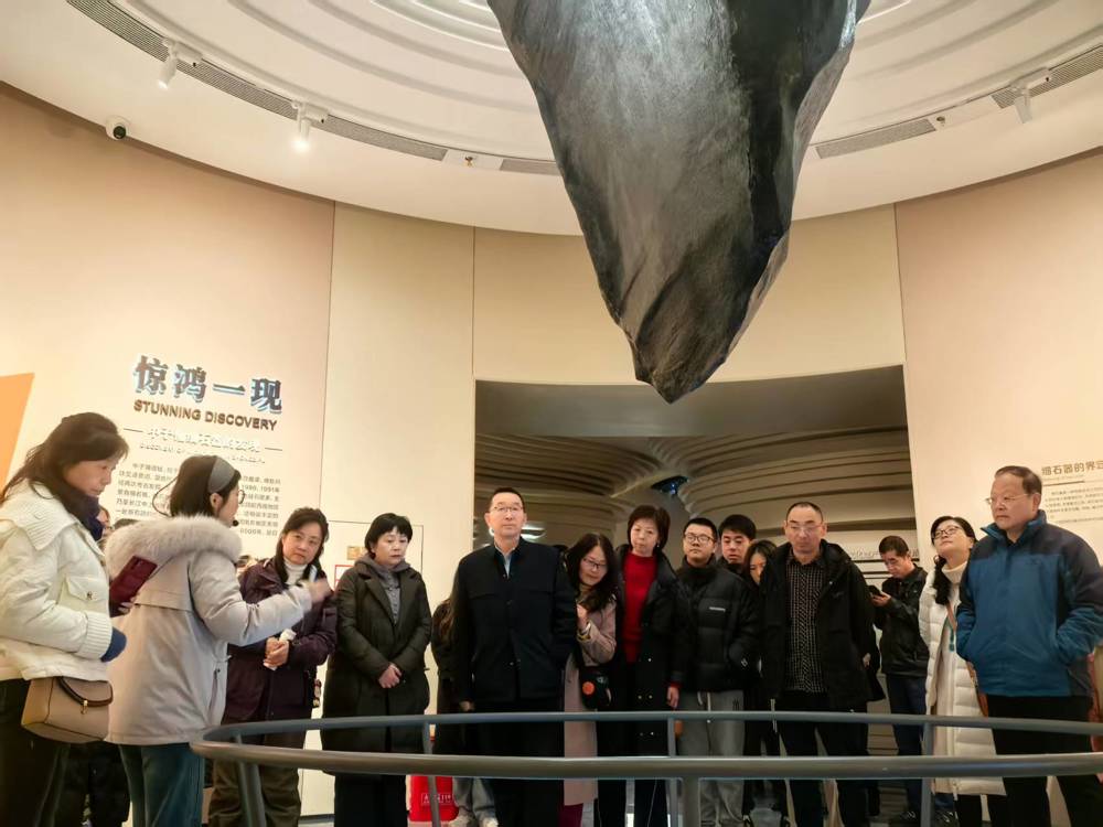 采风团走进中子细石器博物馆