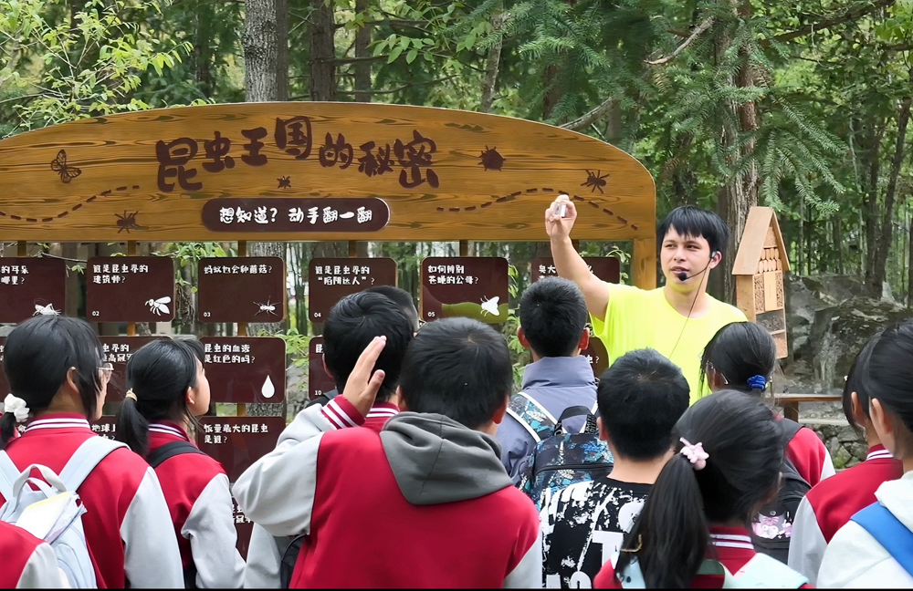 学员在老河沟生态营地参加自然教育课程