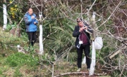 广元朝天区：品种改良，促核桃产业提质增效