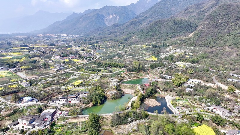 绵竹3