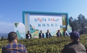 “游大美蜀道 品广元好茶”新闻发布会在广元旺苍县木门镇万亩生态茶园举行