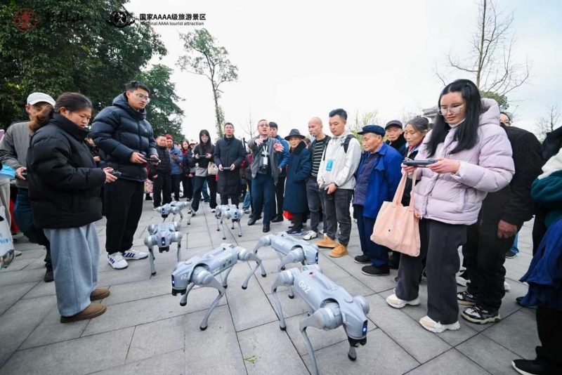 图片2_副本