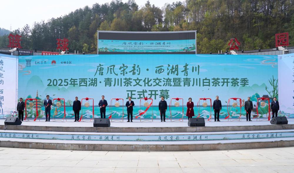 图片5