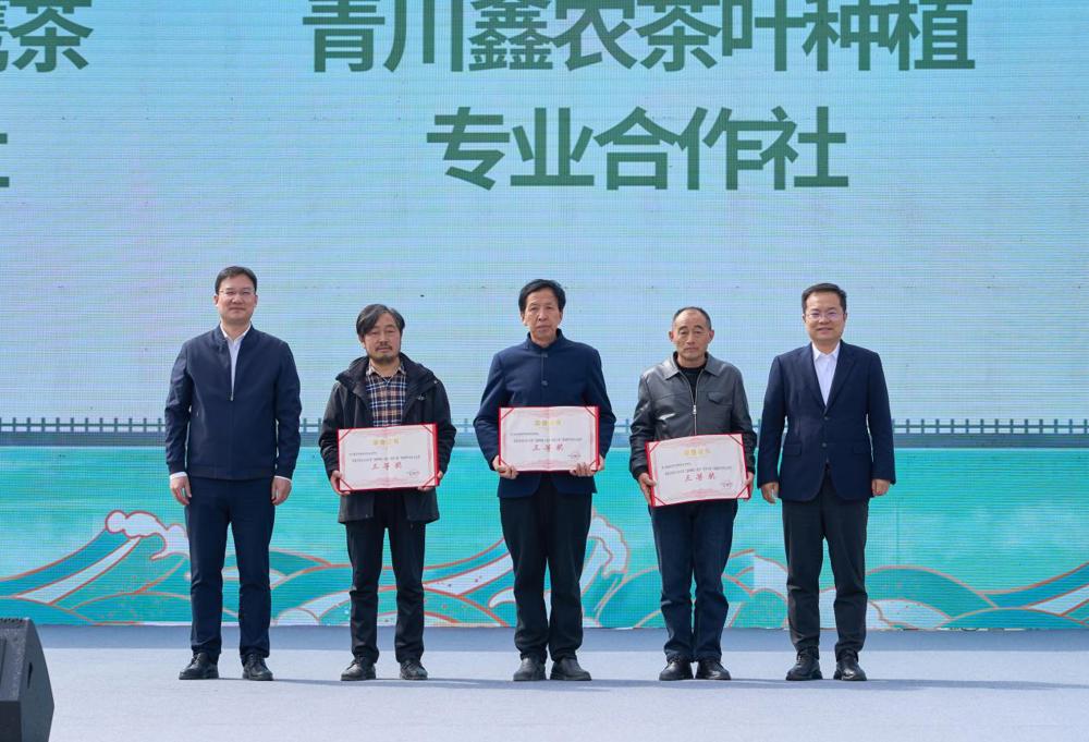 图片3